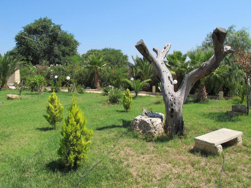 Agriturismo Casa Colonica Liliane Порто-Чезарео Номер фото
